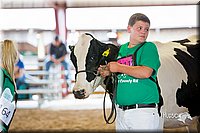 LCFair2016-4417.jpg