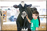 LCFair2016-4418.jpg