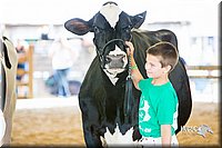 LCFair2016-4419.jpg