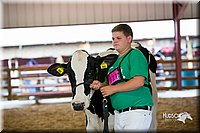 LCFair2016-4420.jpg