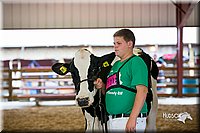 LCFair2016-4422.jpg