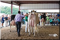 LCFair2016-4430.jpg