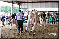 LCFair2016-4431.jpg