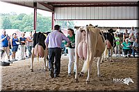 LCFair2016-4432.jpg