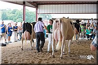 LCFair2016-4435.jpg