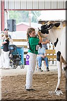 LCFair2016-4436.jpg