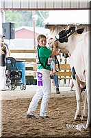 LCFair2016-4437.jpg