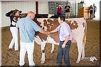 LCFair2016-4438.jpg