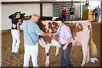 LCFair2016-4440.jpg