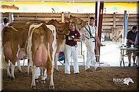 LCFair2016-4446.jpg