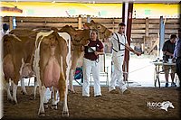 LCFair2016-4447.jpg