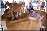 LCFair2016-4449.jpg