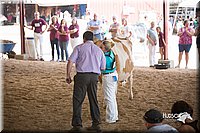 LCFair2016-4451.jpg