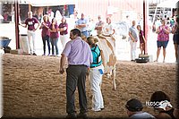 LCFair2016-4452.jpg