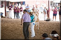 LCFair2016-4453.jpg