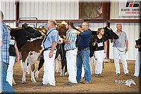 LCFair2016-4457.jpg