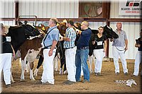 LCFair2016-4460.jpg