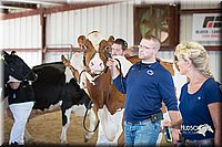 LCFair2016-4464.jpg