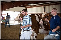 LCFair2016-4468.jpg