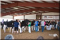 LCFair2016-4472.jpg