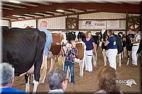 LCFair2016-4473.jpg