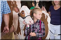 LCFair2016-4475.jpg