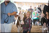 LCFair2016-4481.jpg