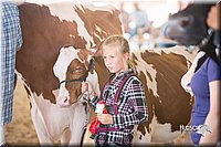 LCFair2016-4485.jpg