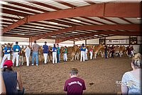 LCFair2016-4486.jpg