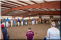 LCFair2016-4487.jpg