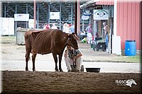 LCFair2016-4488.jpg