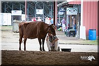 LCFair2016-4489.jpg