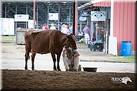 LCFair2016-4491.jpg