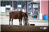 LCFair2016-4492.jpg