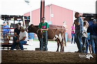 LCFair2016-4493.jpg