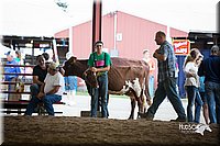 LCFair2016-4494.jpg