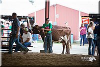 LCFair2016-4495.jpg