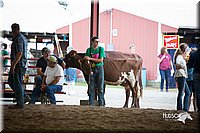 LCFair2016-4496.jpg