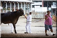 LCFair2016-4497.jpg