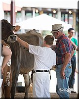 LCFair2016-4501.jpg