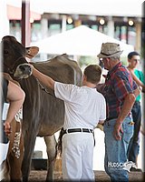 LCFair2016-4502.jpg