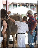 LCFair2016-4503.jpg