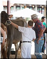 LCFair2016-4506.jpg