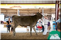 LCFair2016-4518.jpg