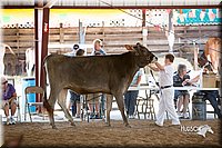 LCFair2016-4519.jpg