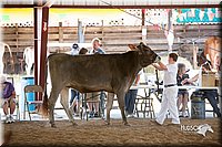 LCFair2016-4520.jpg