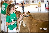 LCFair2016-4521.jpg