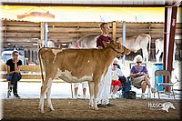 LCFair2016-4522.jpg