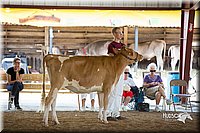 LCFair2016-4523.jpg