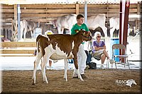 LCFair2016-4524.jpg